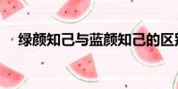 绿颜知己与蓝颜知己的区别(绿颜知己)
