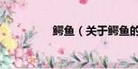 鳄鱼(关于鳄鱼的简介)