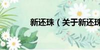 新还珠(关于新还珠的简介)