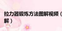 拉力器锻炼方法图解视频(拉力器锻炼方法图解)