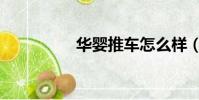 华婴推车怎么样(华婴)