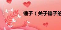 锤子(关于锤子的简介)