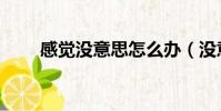 感觉没意思怎么办(没意思怎么办)