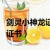 剑灵小神龙证书去哪里兑换奖励（剑灵小神龙证书）