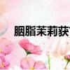 胭脂茉莉获首届唐刚诗歌奖（胭脂茉莉）