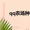 qq农场种子精华攻略（qq农场种子）