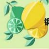 钢炼2003（钢炼2）