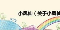 小凤仙(关于小凤仙的简介)