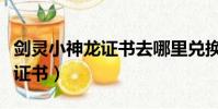 剑灵小神龙证书去哪里兑换奖励(剑灵小神龙证书)