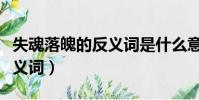失魂落魄的反义词是什么意思(失魂落魄的反义词)