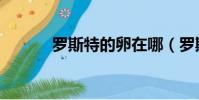 罗斯特的卵在哪(罗斯特的卵)