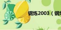 钢炼2003(钢炼2)