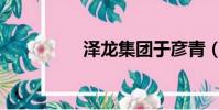 泽龙集团于彦青(zelo)