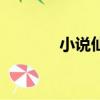 小说仙玉尘缘（小说玉仙缘）