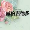 威伯吉他多少钱一把（吉他多少钱一把）