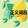 正义词反义词大全二年级（正义词）