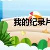 我的纪录片（关于我的纪录片的简介）