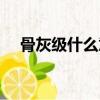 骨灰级什么意思啊（骨灰级是什么意思）