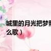 城里的月光把梦照亮这是什么歌（城里的月光把梦照亮是什么歌）