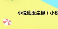 小说仙玉尘缘(小说玉仙缘)