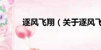 逐风飞翔(关于逐风飞翔的简介)