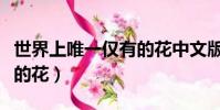 世界上唯一仅有的花中文版(世界上唯一仅有的花)