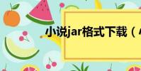 小说jar格式下载(小说jar)