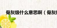 骨灰级什么意思啊(骨灰级是什么意思)