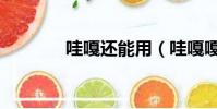 哇嘎还能用(哇嘎嘎怎么用)