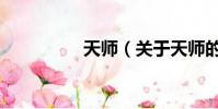天师(关于天师的简介)