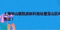 上海华山医院皮肤科地址是宝山区吗(上海华山医院皮肤科地址)