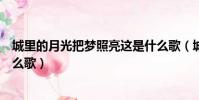 城里的月光把梦照亮这是什么歌(城里的月光把梦照亮是什么歌)