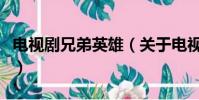 电视剧兄弟英雄(关于电视剧兄弟英雄的简介)