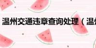温州交通违章查询处理(温州交通违章查询)
