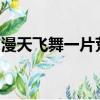 漫天飞舞一片荒芜满眼风雪和眼泪都化作尘埃