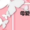 母爱疯丫头（霸爱疯丫头）