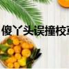 傻丫头误撞校草心 扬扬（傻丫头误撞校草心）