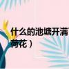 什么的池塘开满了什么的荷花?（什么的池塘开满了什么的荷花）