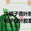 决明子荷叶胶囊减肥药什么时候吃饭前吗（决明子荷叶胶囊）