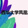 西华大学凤凰学院官网（西华大学凤凰学院）