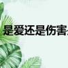 是爱还是伤害是哪年的歌曲（是爱还是伤害）
