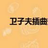 卫子夫插曲安之乐之歌词（卫子夫插曲）