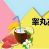 睾丸英语俚语（睾丸 英语）