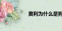 奥利为什么是狗屎?