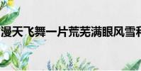 漫天飞舞一片荒芜满眼风雪和眼泪都化作尘埃