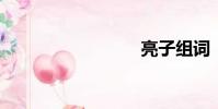 亮子组词