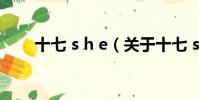 十七 s h e(关于十七 s h e的简介)
