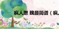 疯人愿 魏晨简谱(疯人愿 魏晨)