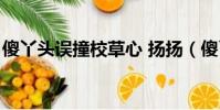 傻丫头误撞校草心 扬扬(傻丫头误撞校草心)