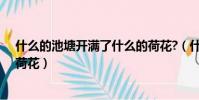 什么的池塘开满了什么的荷花?(什么的池塘开满了什么的荷花)